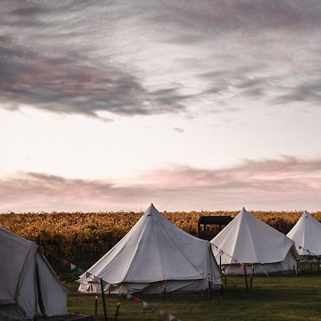 Coonawarra Bush Holiday Park Bagian luar foto