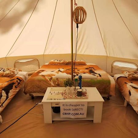 Coonawarra Bush Holiday Park Bagian luar foto